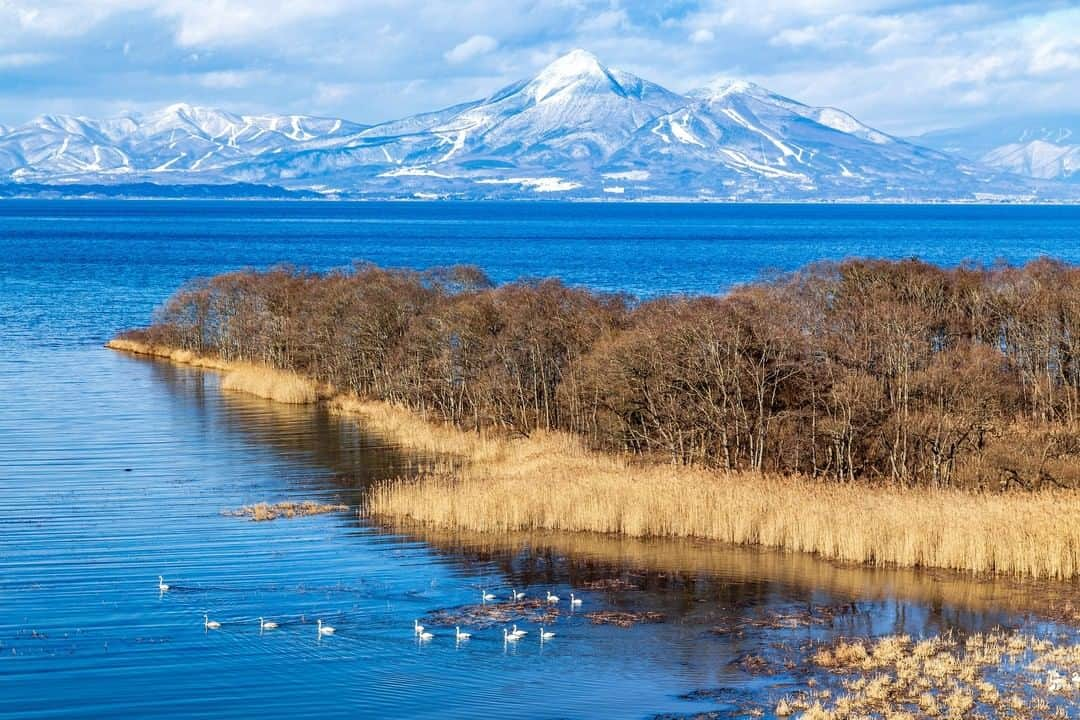 福島県さんのインスタグラム写真 - (福島県Instagram)「【猪苗代湖 鬼沼】  猪苗代湖南部にある砂州に隔たれた沼（湾）です。酸性で魚が少ない猪苗代湖に対して、この鬼沼の水質は中性に近いため、ウナギやナマズ、ウグイなどの魚が生息しています。波もなく穏やかなので白鳥などの野鳥が羽を休めに訪れます。  #おうちでふくしま #鬼沼 #猪苗代湖 #郡山市 #県中地方 #福島県 #koriyamacity #fukushima #traveljapan #futurefromfukushima #ふくしまからはじめよう」2月2日 17時16分 - realize_fukushima