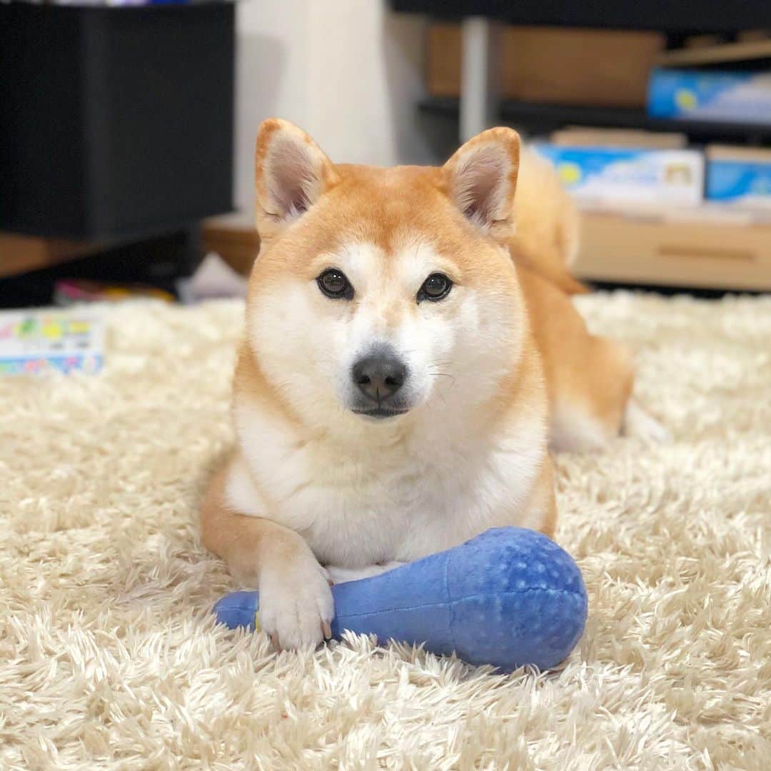 Moguのインスタグラム