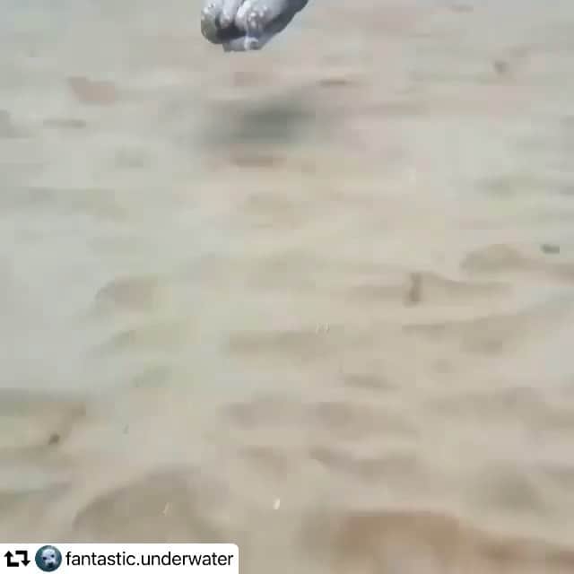 エディ・マクリントックのインスタグラム