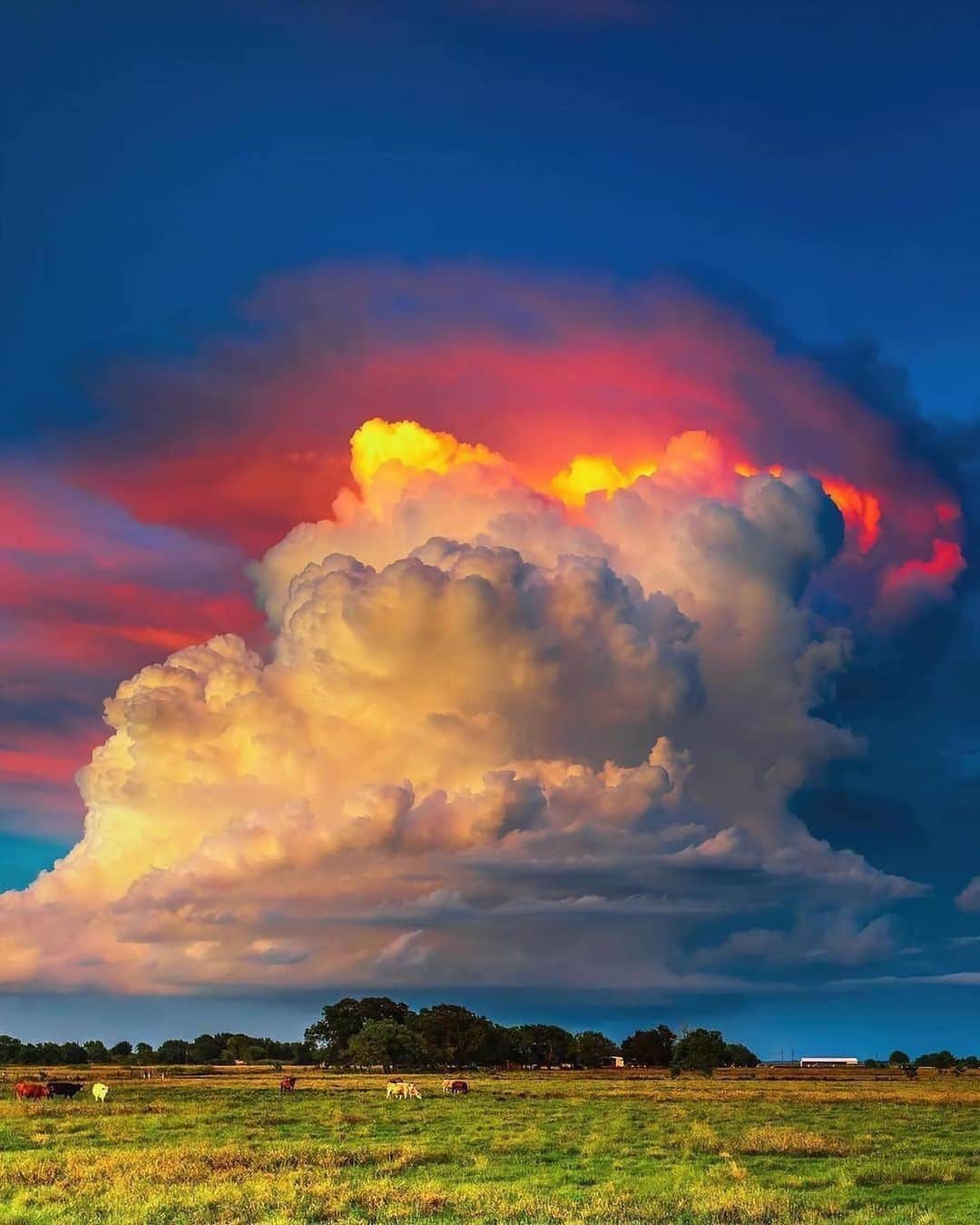 Canon Photographyのインスタグラム：「Stunning storm images from the US! Photography // @adamkylejackson Curated by @steffeneisenacher  #texas #stormchasing #midwest #sunsetstorm #lightning」