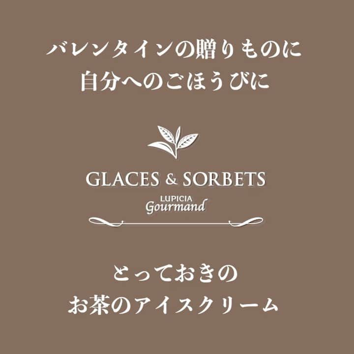 のインスタグラム：「【お茶のアイスの贈りもの】 バレンタイン の贈りものに 自分へのごほうびに 世界のお茶専門店ルピシアによる グラス＆ソルベはいかが？  詳細は商品リンクをご覧ください。」