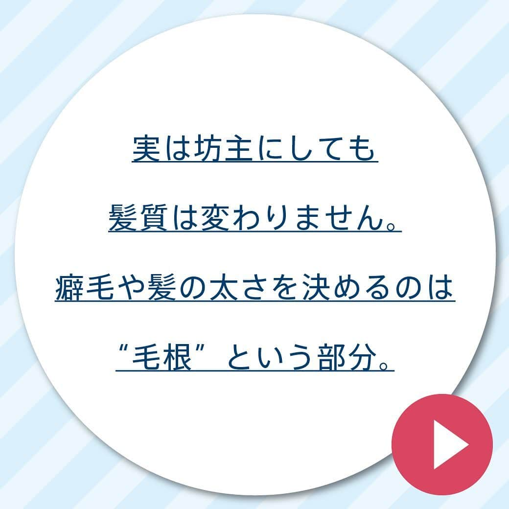 【公式】AGAスキンクリニックさんのインスタグラム写真 - (【公式】AGAスキンクリニックInstagram)「『坊主にしたら髪質が変わる？』 . よく耳にするこちらの迷信… . 真相はスワイプしてご確認ください🧐 . . . #AGAスキンクリニック#雑学#今日の雑学#雑学王#豆知識#都市伝説#AGA#坊主#髪質#髪質改善#ヘアケア」2月2日 18時09分 - aga_clinic