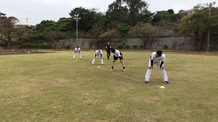 阪神タイガースのインスタグラム