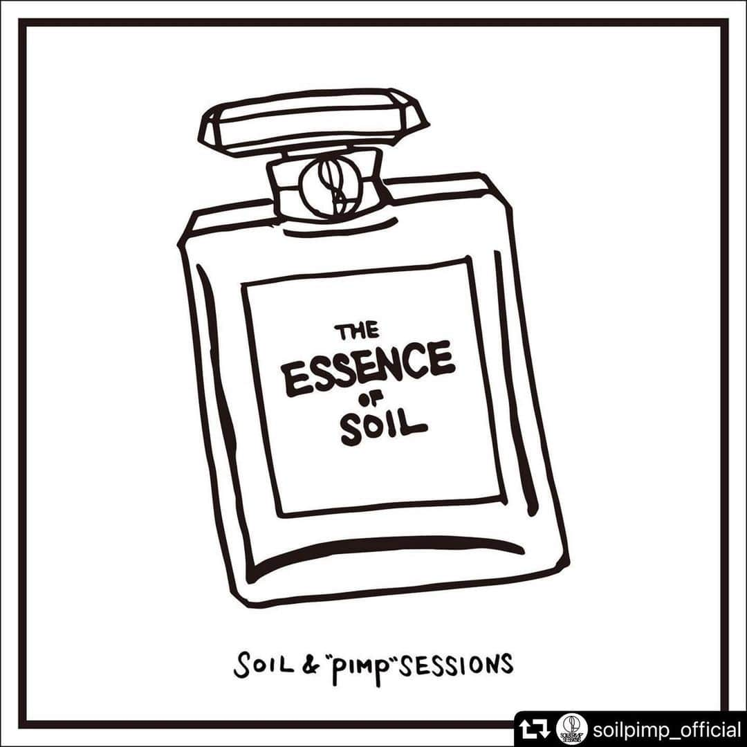 社長のインスタグラム：「#repost @soilpimp_official ・・・ ★3/17New release 『THE ESSENCE OF SOIL』収録曲7曲目&曲順発表！！★  No.7 Soulful  selected by 丈青  2021.3.17 Release Cover Mini Album 「THE ESSENCE OF SOIL」 VICL-70245 / ￥2,300＋tax ＊メンバーによる収録曲解説付き ＊初回出荷分は紙ジャケ仕様 ＊すべてのCDプレーヤーで再生できる高品質CD「SHM-CD」を採用 http://www.jvcmusic.co.jp/soilpimp/discography.html  1. Inner Glimpse 2. My Favorite Things 3. Planet Caravan 4. A Love Supreme, Pt. II – Resolution  5. Soulful  6. Kitty Bey  7. Silence  #soil  #soilandpimpsessions  #theessenceofsoil  #soulful  #royhargrove  #ロイハーグローヴ」