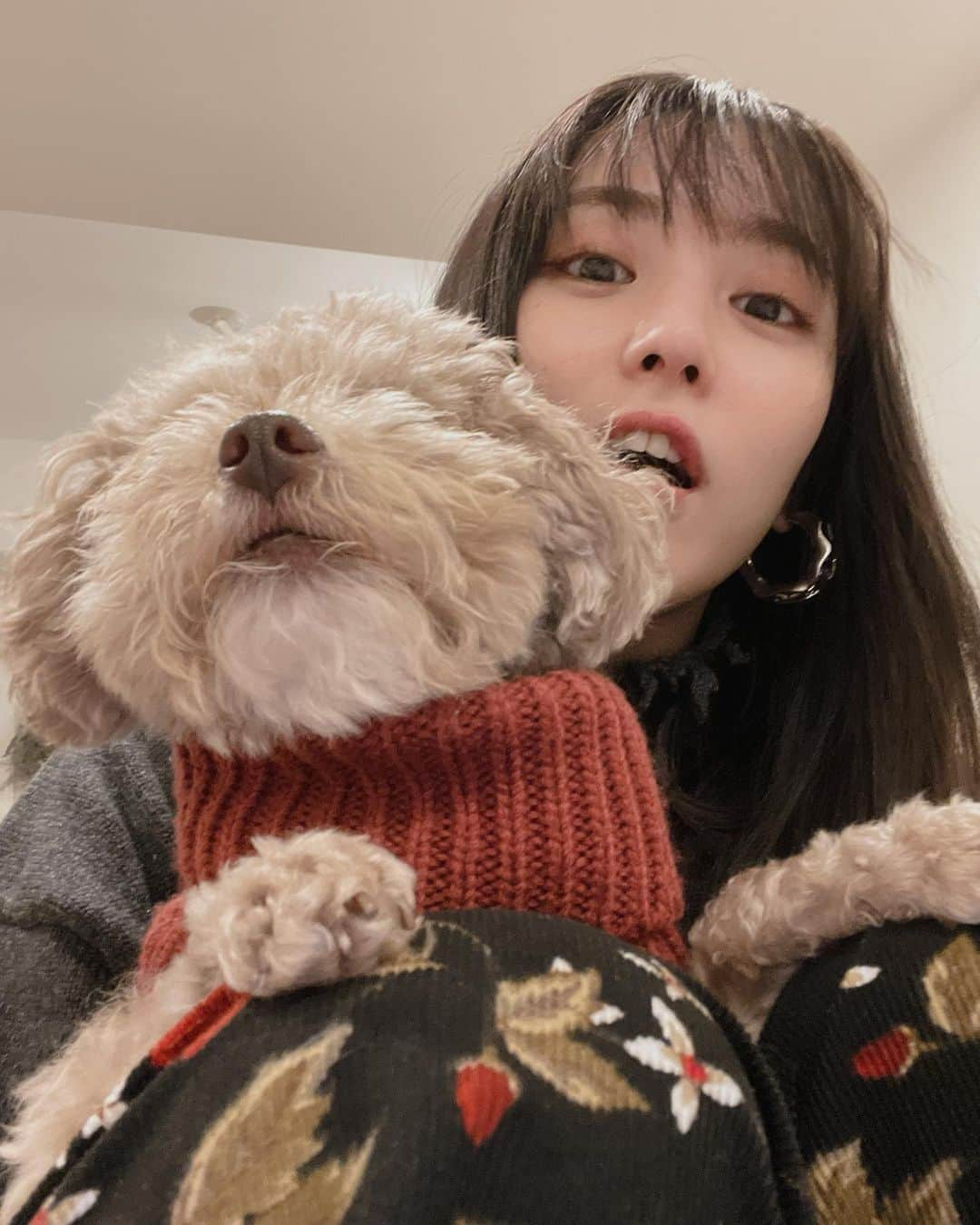 石川恋さんのインスタグラム写真 - (石川恋Instagram)「鬼は外👹福は内🧡 photo by @booro.jp 🐶 #Chelsea #節分」2月2日 18時26分 - ren_ishikawa