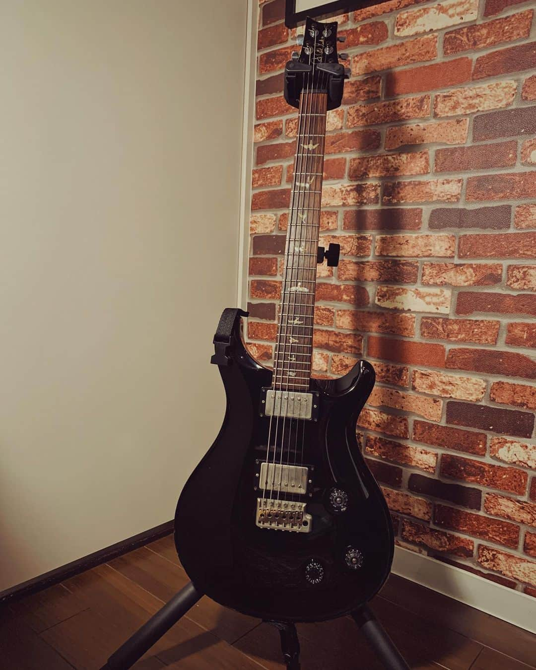 Sugiさんのインスタグラム写真 - (SugiInstagram)「PRS STANDARD 22 #guitarcollection」2月2日 18時52分 - sugi_coldrain