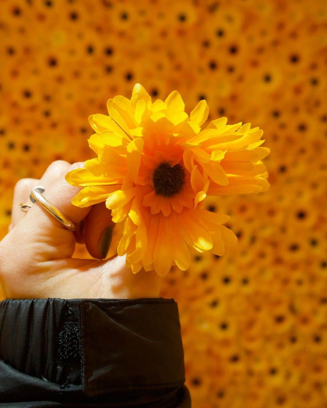 宮澤佐江さんのインスタグラム写真 - (宮澤佐江Instagram)「向日葵の花言葉は 愛慕、憧れ、あなただけを見つめる だそう。  好きー！🌻 . #草間彌生美術館 #集合体ダメな人ごめんだよ」2月2日 19時01分 - sae_3830