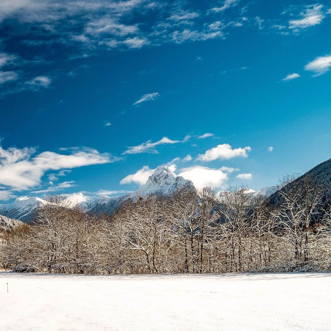 evianのインスタグラム：「Celebrating #WorldWetlandsDay! 💧🌱 This year is dedicated to wetlands and water, to remind us all that they are sources of vital fresh water. ​⁣ ​⁣ A cause dear to our heart as we became the first natural mineral water to have its watershed area recognized as a wetland of international importance by @ramsar_convention_on_wetlands, partner of UNESCO, back in 2008. ​⁣ ⁣ We know that water is life and so we’ll never stop looking for ways to preserve it – and our source – for years to come.​⁣ ⁣ 📸@herveschmelzle​⁣ #evian #evianwater #restorewetlands #wetlands​」