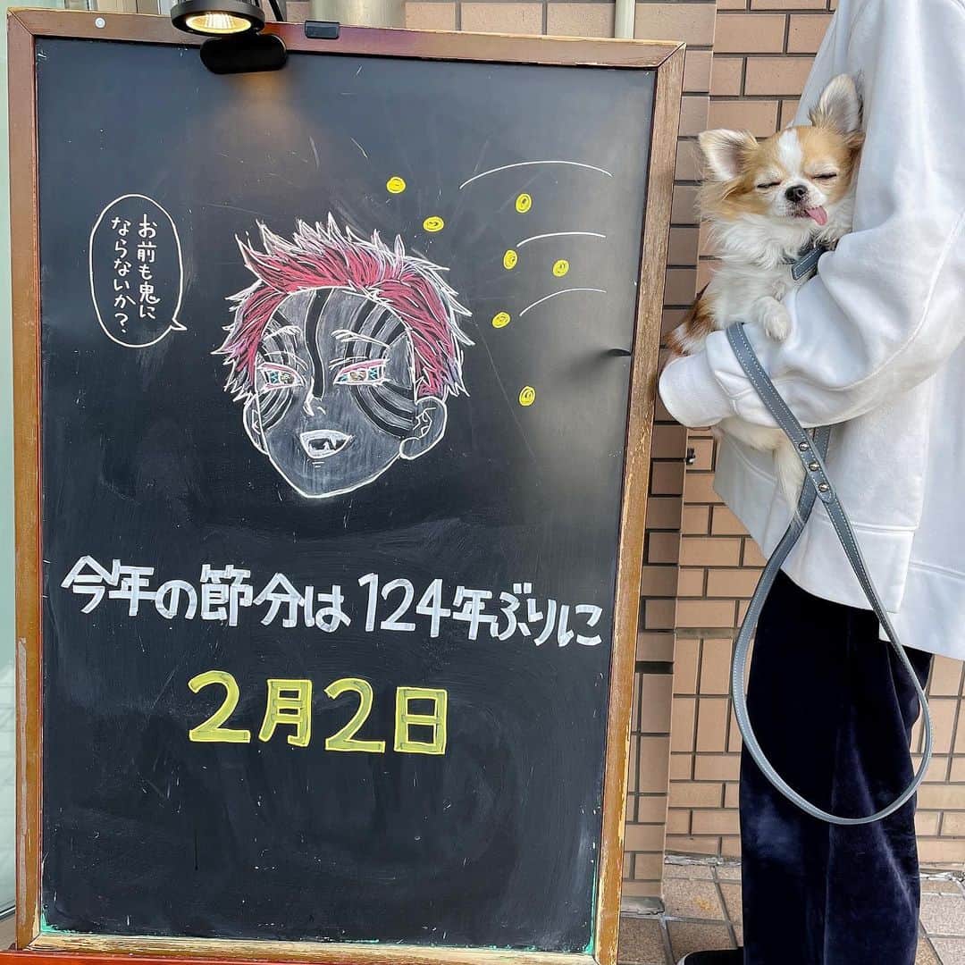 のインスタグラム：「Demon Slayer with Japanese traditional event “Setsubun”.👹 ・ 猗窩座殿が豆投げられながら豆知識を教えてくれた😆 ・ #鬼滅の刃 #猗窩座 #DemonSlayer #Akaza #鬼滅の刃イラスト #猗窩座イラスト #DemonSlayerFanArt #節分 #ちま #チワワ #chihuahua #ชิวาวา #PECOいぬ部 #WeeklyFluff #dogs #dogsofbark #chihuahuaaddict」