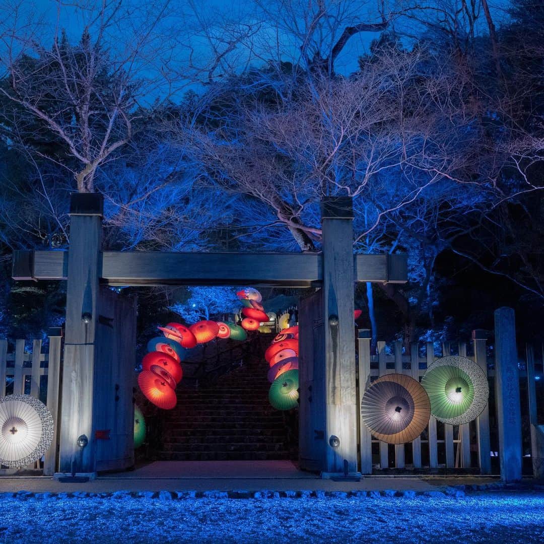 のインスタグラム：「どの和傘もとても美しかった。 撮りがいがある😇 2月7日まで岐阜公園で見られます。  #岐阜市 #インスタ映え #ぎふ灯り物語  #マジプリ #永田薫 #カメラ男子」
