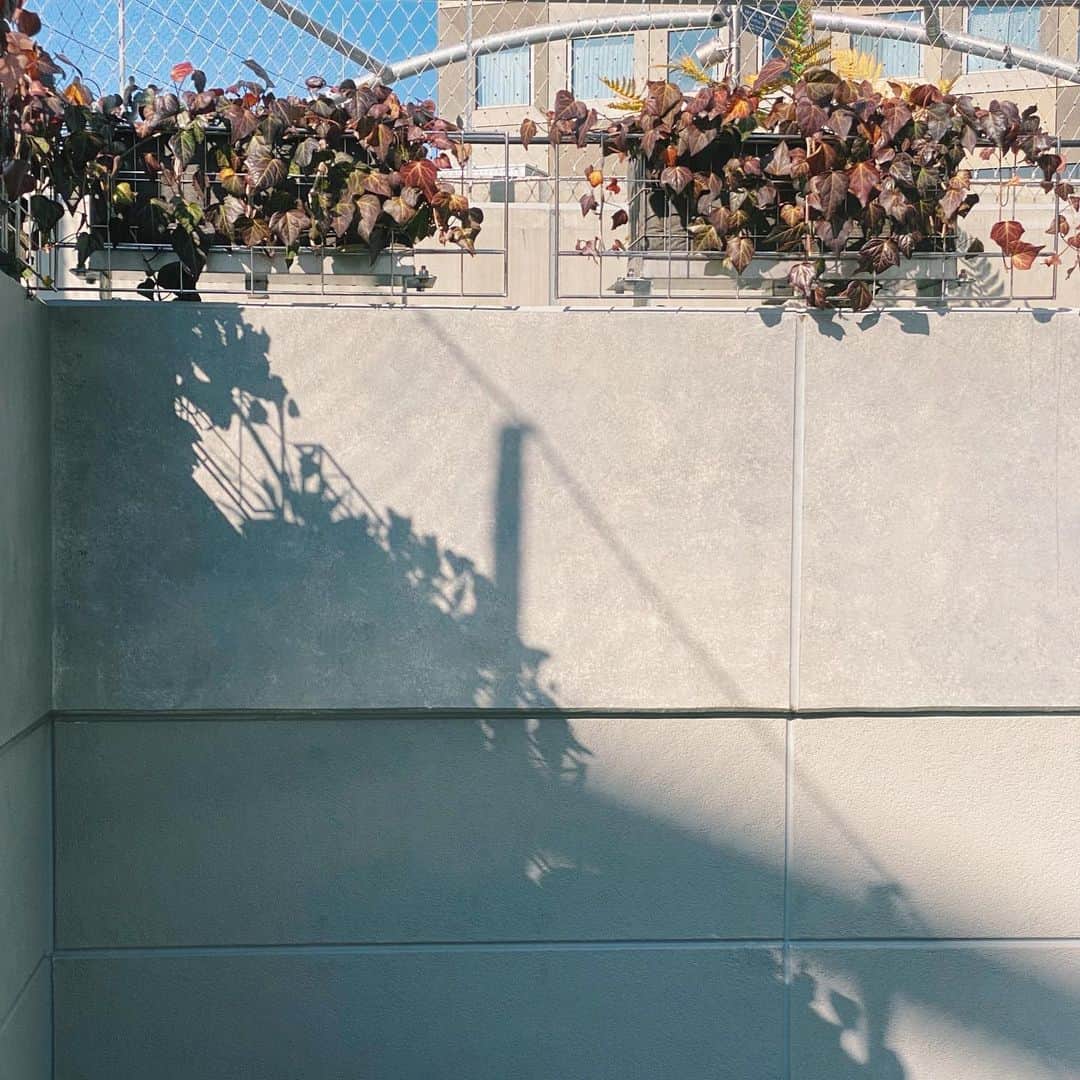 サキのインスタグラム：「明日から春💐」