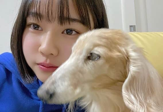 仲吉玲亜さんのインスタグラム写真 - (仲吉玲亜Instagram)「🐶🤍  私の叔母が飼ってる犬です🥰  今年で19歳💭 長生きです🌛  人懐っこくて、私が産まれた時から一緒です👧🏻🤍  長生きしてね~~~🧚‍♂️  #スターダスト #仲吉玲亜 #ミニチュアダックスフンド #19歳 #犬 #かわいすぎる」2月2日 19時51分 - reianakayoshi_official