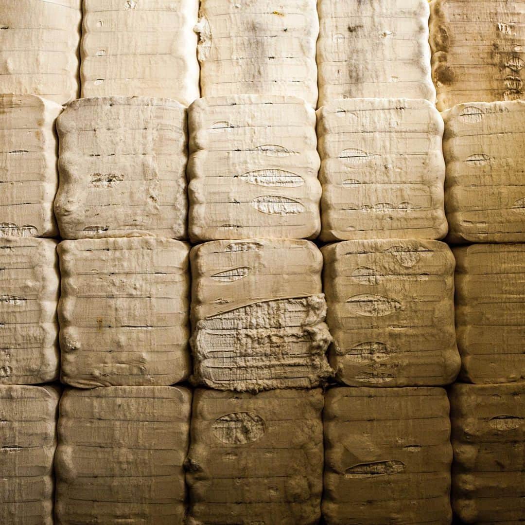 KAIHARA DENIMさんのインスタグラム写真 - (KAIHARA DENIMInstagram)「How to Make KAIHARA DENIM ～カイハラデニムができるまで～  👖Raw Cotton -原綿- アメリカやオーストラリアなど世界中から輸入した綿を、約5,500平米もある大きな原綿倉庫にストックしています。原綿の品質は生地の出来上がりに大きく影響します。徹底的に厳選し、ストック量はなんと約2万俵！ジーンズが約550万本も作れる膨大な量です。  #カイハラ#カイハラ株式会社#カイハラ産業株式会社#カイハラデニム#kaihara#kaiharadenim#denim#madeinjapan#japandenim#denimlover#denimlovers#福山市#三次市#神石高原町#府中市#rawcotton#原綿#cotton#クラウドファンディング#makuake  @kaihara_denim.sales   ◻️クラウドファンディング近日スタート！📣」2月2日 20時07分 - kaihara_denim