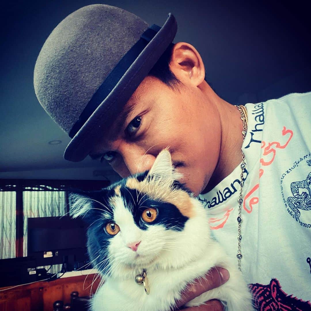 トニー・ジャーのインスタグラム：「Eyes of cat😅😂」