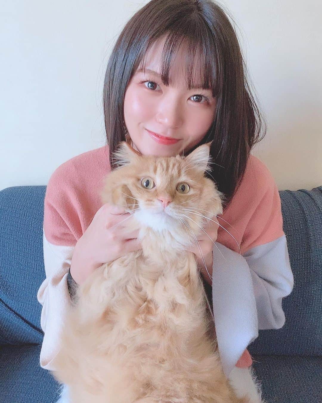 のインスタグラム：「*°﻿ ﻿ プロデュース生写真のオフショット！！﻿ しーくんとれいちゃんが登場しておりまする🐱﻿ そして振袖の写真もあるので、ぜひゲットしてください☺️」