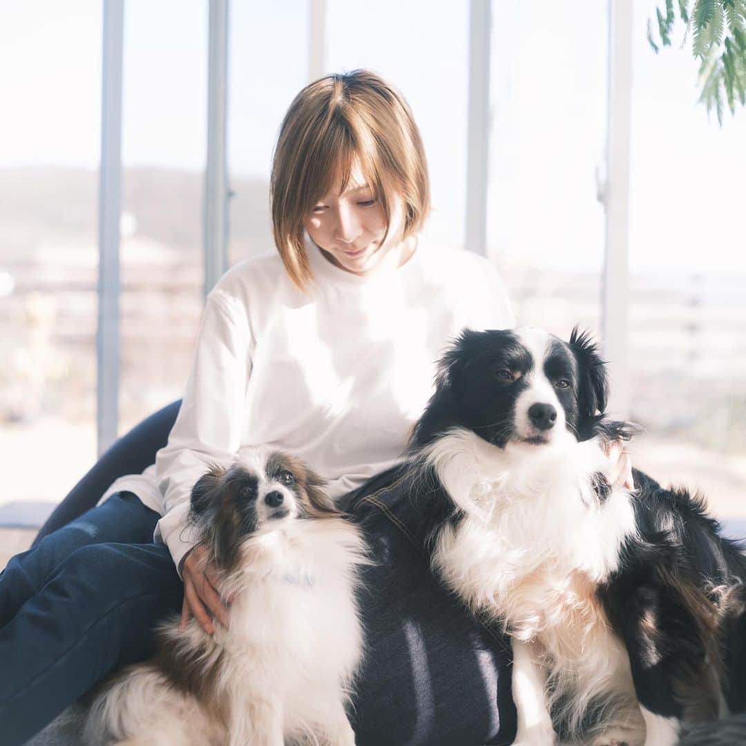 Kobe Japan Water artのインスタグラム：「"Thank you my little son🐶"  本日、愛犬のソラが天国に旅立ちました。インスタグラムを通じて、全国いろいろなところに遊びに行って、たくさんの方に可愛がってもらえて、素晴らしい犬生をおくれたと思います。お世話になったみなさんに、この場を借りて御礼申し上げます。  ソラはいつも明るかったので、ソラ家はこれからも明るく楽しく行こうと思います。 コロナがおさまったら、また皆さん遊んでください！」