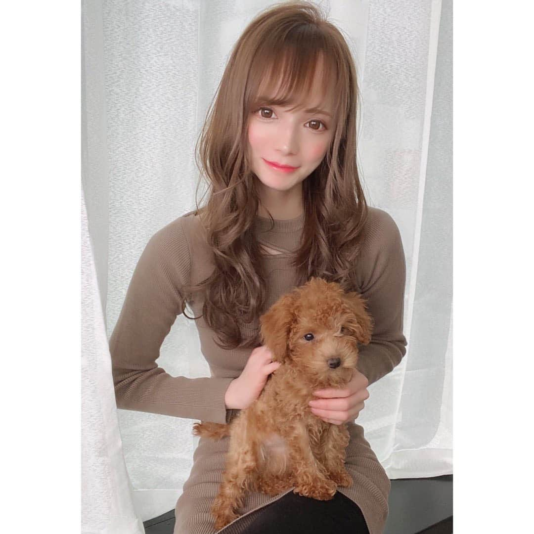 天使かれんさんのインスタグラム写真 - (天使かれんInstagram)「美容院来たら可愛い子がいた🐶💕 今回も @felice_junpei さんにエク付けてもらったよ💇🏼‍♀️ #レガロ新宿 #シールエクステ」2月2日 21時10分 - karen_amatsuka