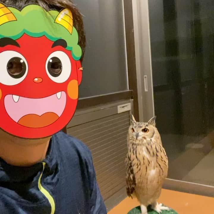 GEN3 Owlのインスタグラム：「鬼は外ー！フクは内ー！  今年は124年ぶりとなる2月2日の節分の日でしたね。 例年通り2月3日だと思ってた人も多いんじゃないでしょうか？ ・・・今朝までの僕ですｗ 家族の無病息災を願って、毎年節分はしっかりとやります。 ガルーもここ2年ほど大きな病気もなく元気に過ごしてます。 何事もなく過ごせることってありがたいな〜と思う今日この頃です。 ・・・やばい、順調におっさん化してる。  Today is the day of Setsubun. Setsubun refers to the day before the beginning of each season(the first days of spring, summer, fall and winter). Out of all the 4 Setsubun days, Risshun (the first day of spring) is the most special day.  It is believed that *oni come when the seasons change in Japan.  *Oni: a devil-like creature from Japanese folklore. To get rid of the oni, people scatter roasted soy beans both inside and outside of their houses. The phrase “Out with the devil! In with good fortune,” is said when throwing soybeans.  #owl #owlgaru #フクロウ #節分  #setsubun」