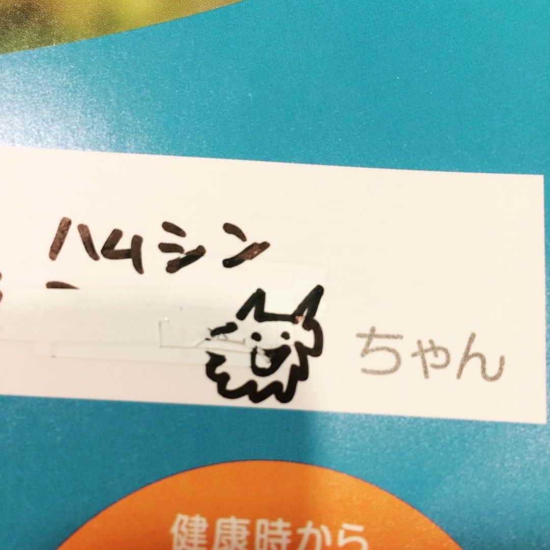 岡田屋鉄蔵のインスタグラム：「ハムのカルテ、毎度へへへってなる。先生の似顔絵付き。」