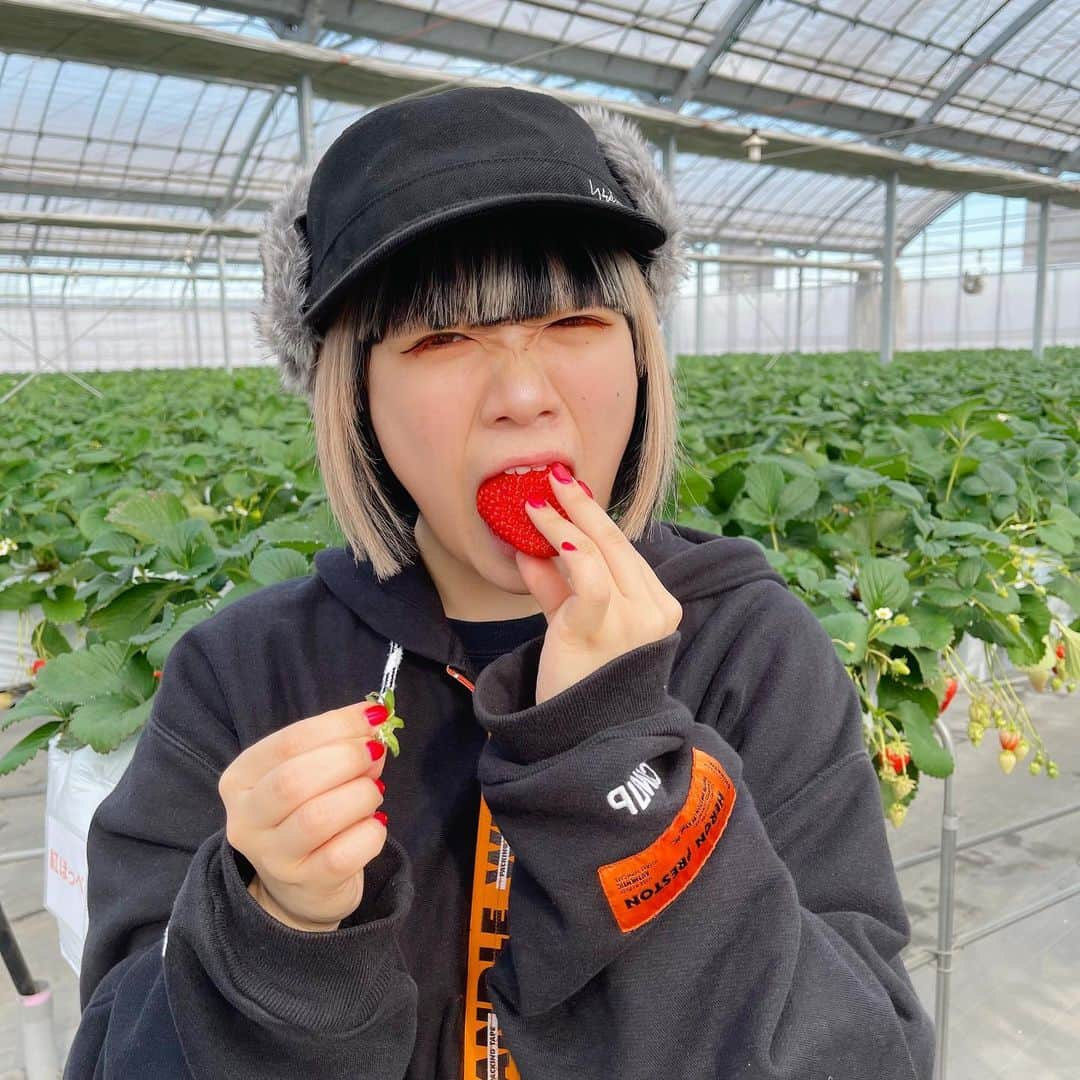 KARIN さんのインスタグラム写真 - (KARIN Instagram)「🍓❤️🍓❤️」2月2日 21時53分 - karin.tempurakidz