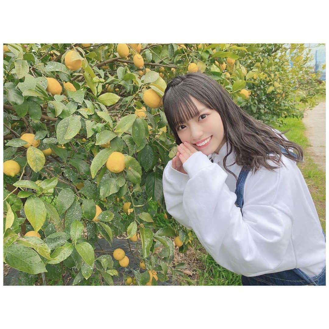 岩田陽菜さんのインスタグラム写真 - (岩田陽菜Instagram)「レモン🍋にこにこ☺✨﻿ ﻿ ﻿ ﻿ #レモン#lemon#檸檬#瀬戸田#広島#レモン狩り#オーバーオール#ヘアアレンジ#編み込み」2月2日 22時03分 - hina_naso_stu48