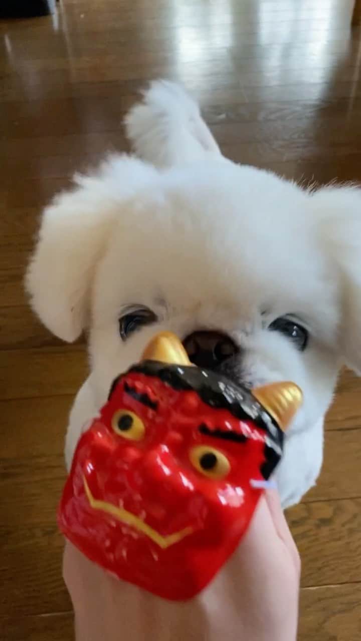こなつのインスタグラム：「おに退治👹✊🤣✨ みなさまにいっぱい福✨が来ますように❤️❤️❤️」