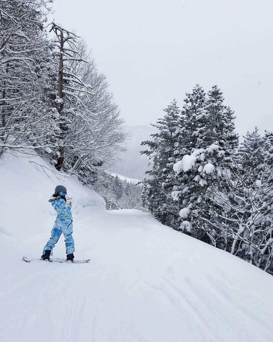 大野南香さんのインスタグラム写真 - (大野南香Instagram)「* Look at this fluffy, powdery, fresh snow!!!!! I love winter.❄️  #everydayhappy ︎︎﻿ ︎︎﻿☺︎︎﻿  #snowboarding」2月2日 22時36分 - minaka_official