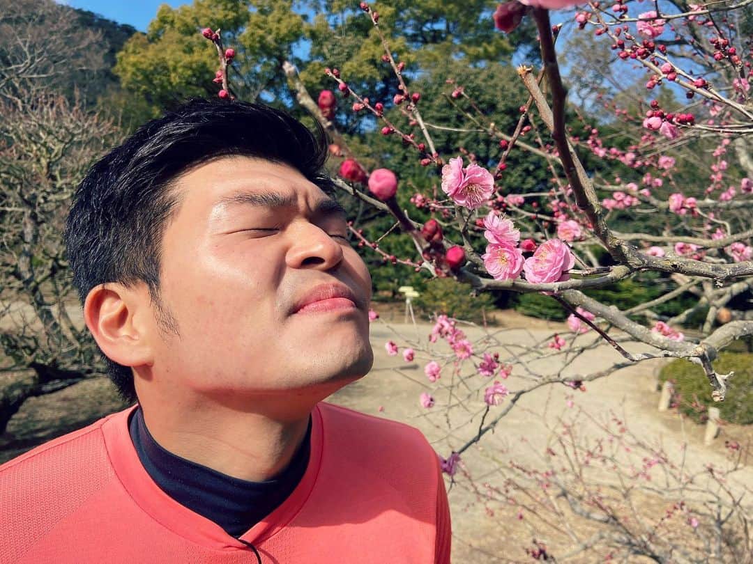 鈴木悠さんのインスタグラム写真 - (鈴木悠Instagram)「先日、#春告草 の別名を持つ #梅 の取材に行ってきました💪 梅の特徴の1つと言えば、香りですね。 #くんくんくんくんくんくんくんくん #くんくんくんくんくんくんくんくん #栗林公園」2月2日 22時49分 - yu_suzuki.tenki