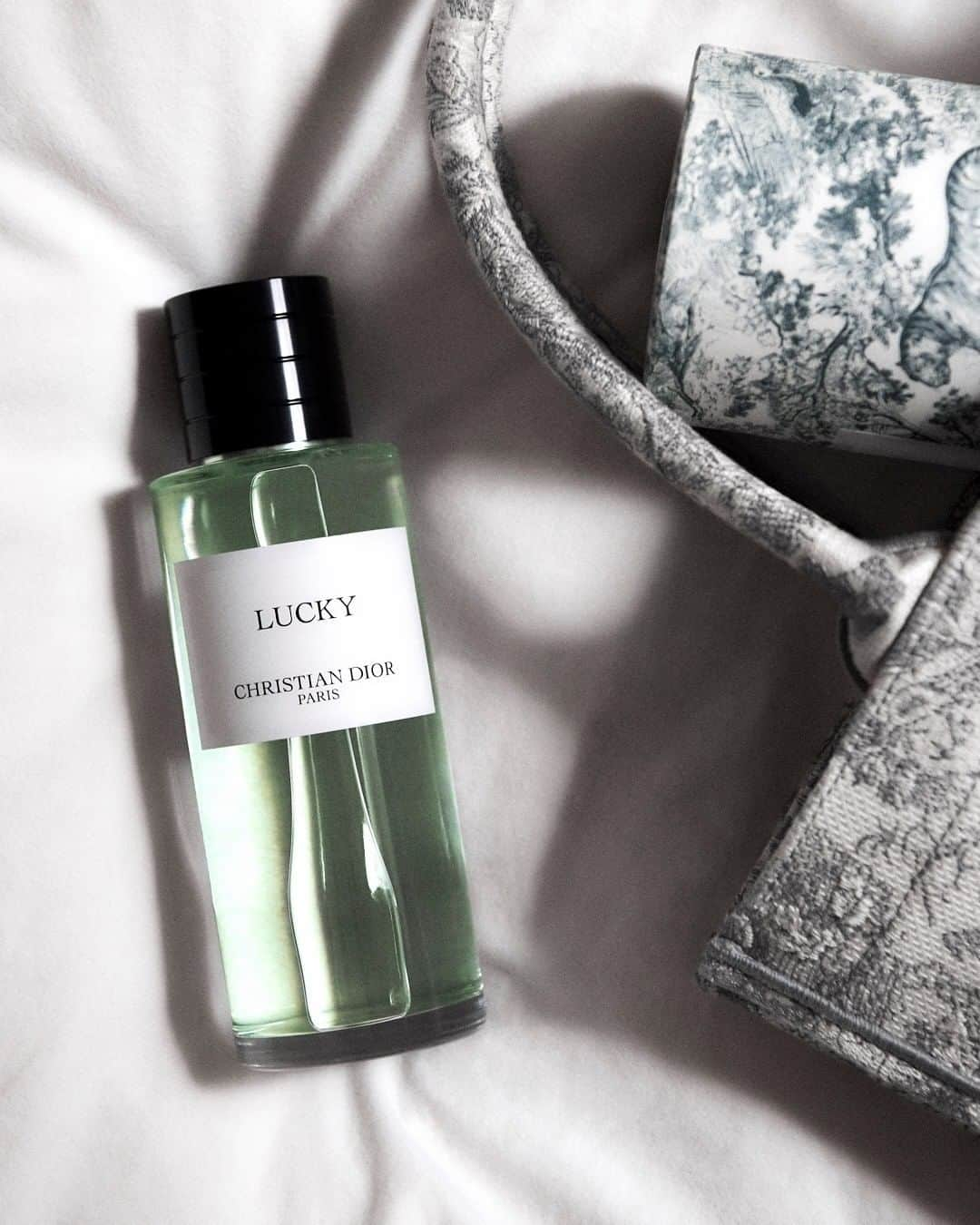 クリスチャンディオールさんのインスタグラム写真 - (クリスチャンディオールInstagram)「MAISON CHRISTIAN DIOR TOILE DE JOUY  A fresh good luck charm, Lucky is the perfect fragrance choice for this new #MaisonChristianDior limited edition Toile de Jouy collection. • #MaisonChristianDior #DiorParfums @diorparfums」2月2日 23時00分 - dior