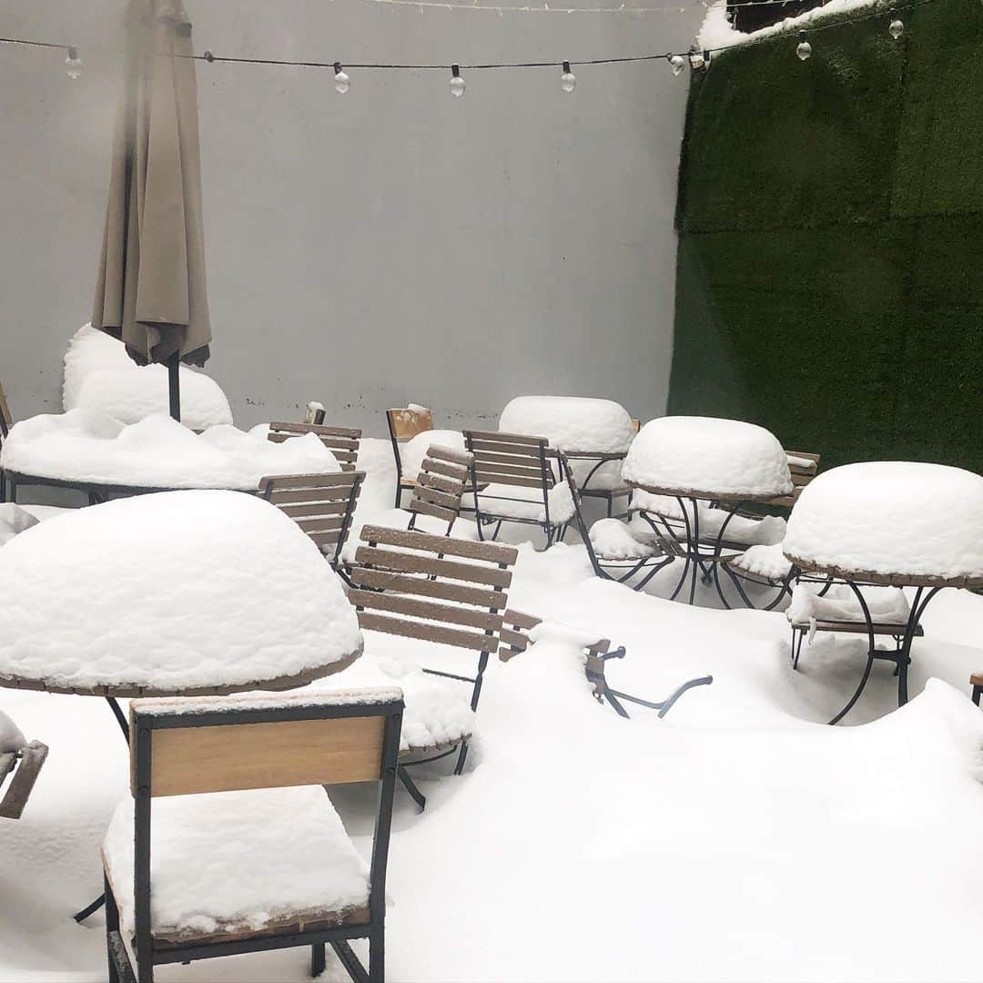 DOMINIQUE ANSEL BAKERYさんのインスタグラム写真 - (DOMINIQUE ANSEL BAKERYInstagram)「We are OPEN today and ready to welcome you. After 22 inches later and the garden tables once again look like white snow cakes.」2月2日 23時05分 - dominiqueansel