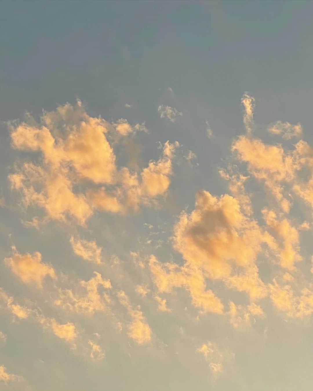 ジュリアン デイヴィッドさんのインスタグラム写真 - (ジュリアン デイヴィッドInstagram)「Winter sky, golden hour.」2月2日 23時05分 - davidjulien