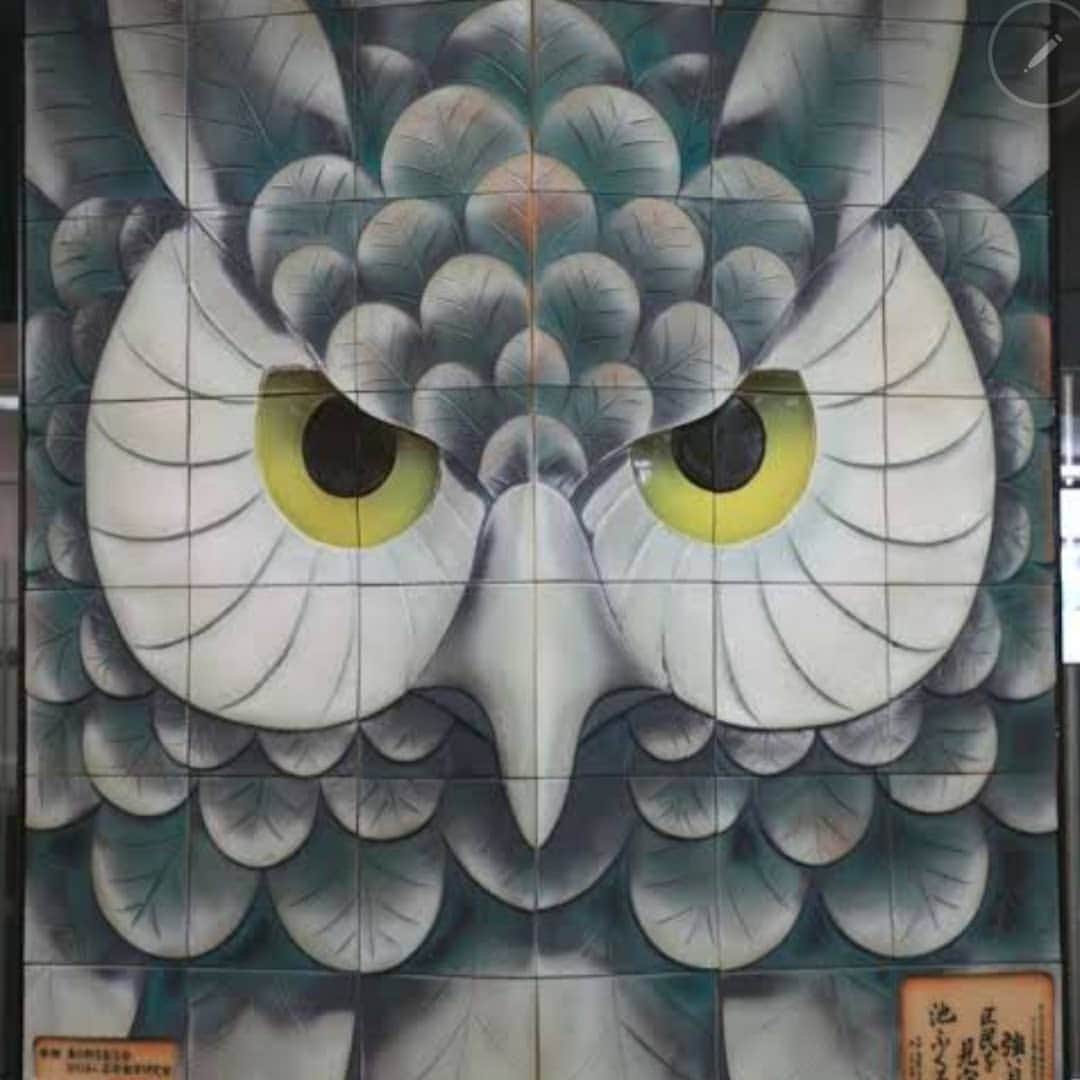 信國太志のインスタグラム：「:OWL 1」