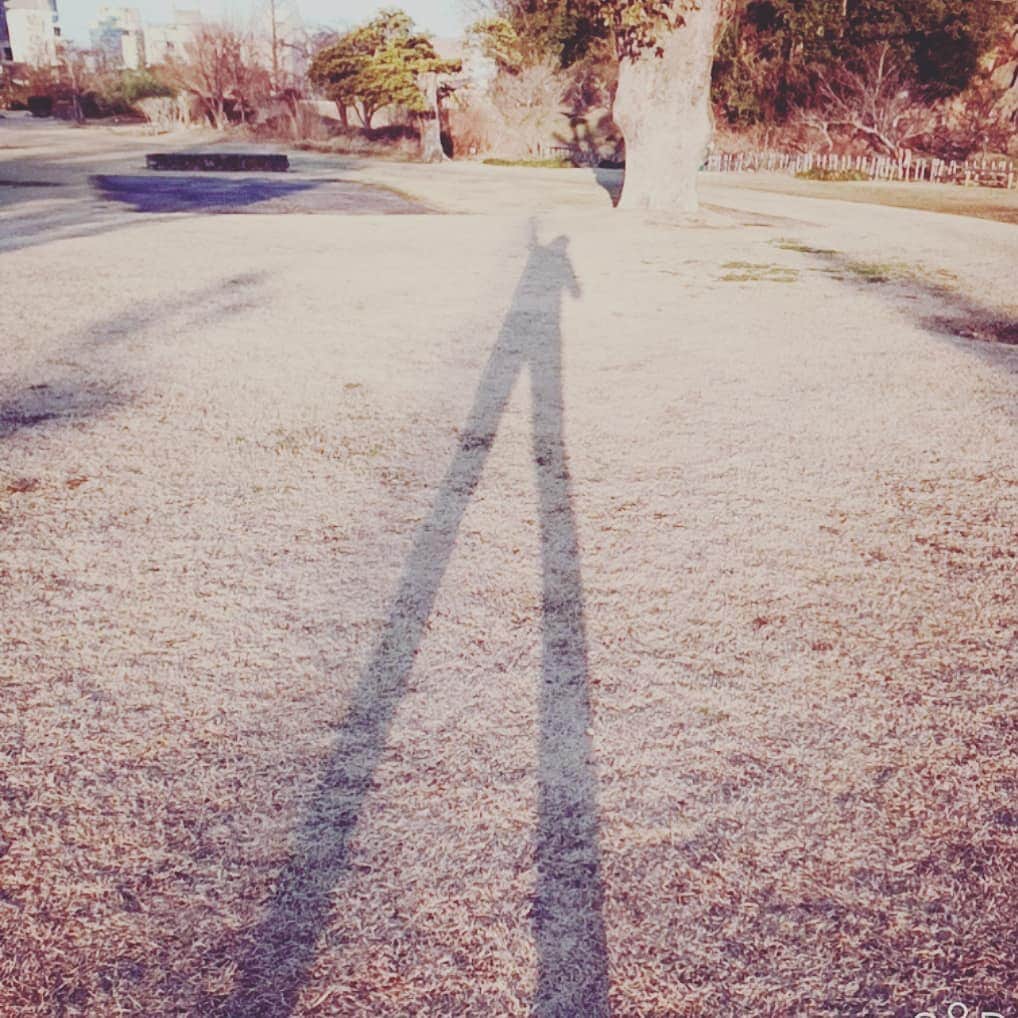 松本隆博のインスタグラム：「。 今日も朝からよく歩いた！ 1日、足長おじさんでよろしくー 頑張ろー ～人生遊歩道～」