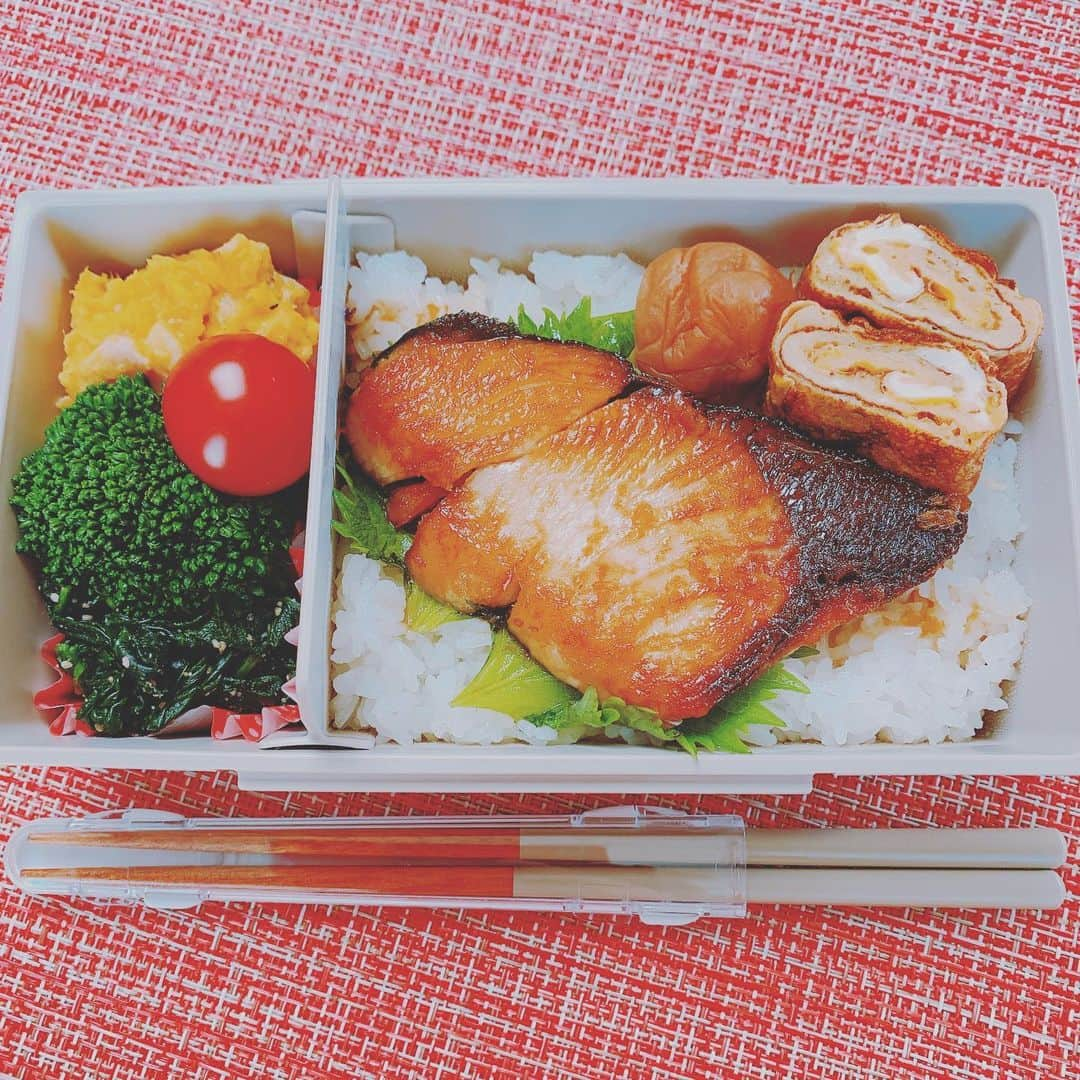 C’kのインスタグラム：「おはようございます☀﻿ ﻿ ﻿ 今朝は鰤照り弁当を作りました🍱🐟✨﻿ ﻿ ﻿ 昨日作った南瓜サラダと今の季節美味しい寒じめほうれん草の胡麻和えも入れて☺️﻿ ﻿ ﻿ 今日も何か1つ小さな幸せ見つかるといいな🍀﻿ 小さな幸せ探しましょ🥰﻿ ﻿ ﻿ ではでは今日もがんばりましょう❗️﻿ ﻿ ﻿ #手作り弁当 #鰤の照り焼き弁当 #寒じめほうれん草 #南瓜サラダ #彩り弁当 #栄養バランス #健康ごはん #主婦 #ワンオペ育児ママ #料理好き」