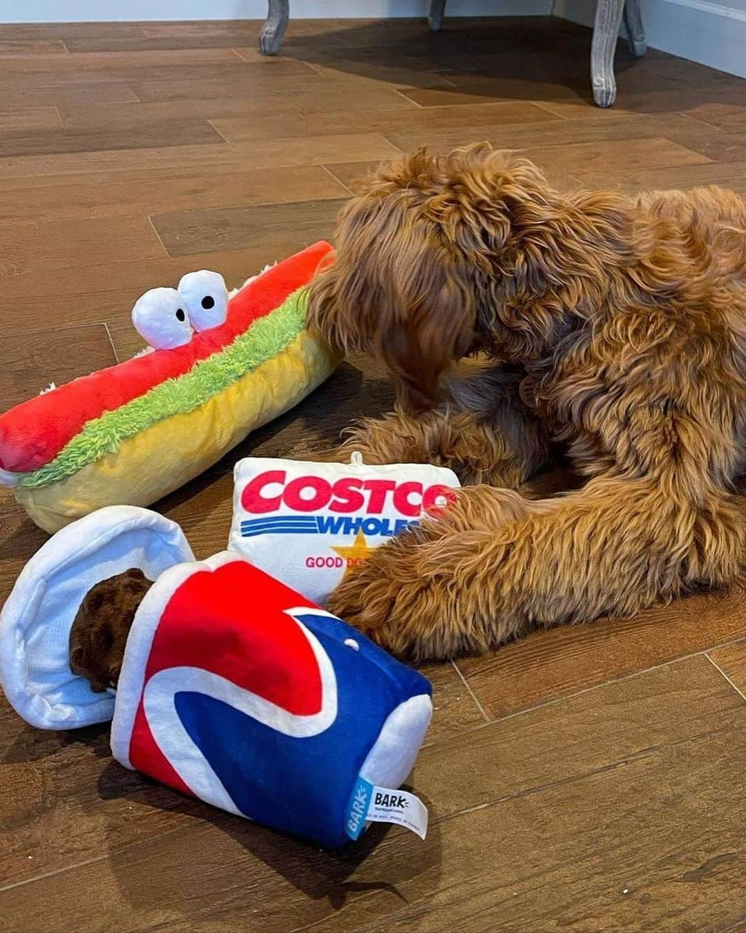 BarkBoxさんのインスタグラム写真 - (BarkBoxInstagram)「The @COSTCO COLLECTION IS BACK but now IT'S EVERYWHERE! including online 😘 Y'ALL YELLED WHEN ONLY THE MIDWEST PEEPS GOT EM, AND WE HEARD YA!⁠⁠ ⁠⁠ Pics feaurting:⁠⁠ @beagleboy_juno  @teddytheturkeydog  @nellie_thegoldendoodle」2月3日 9時38分 - barkbox