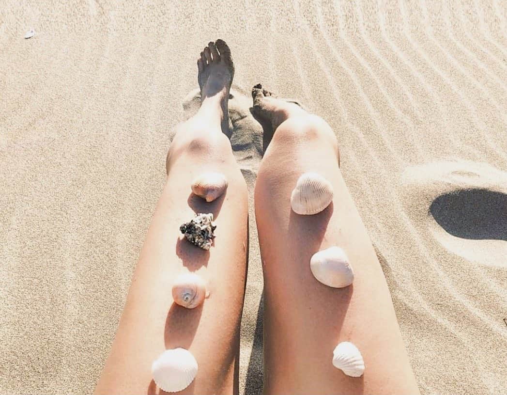 YUUのインスタグラム：「🐚　#shell」
