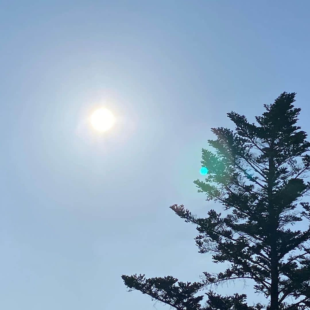 松川浩子さんのインスタグラム写真 - (松川浩子Instagram)「立春。  春の始まりとは程遠い寒さですが、 春という響きだけで ワクワクします。  とはいいつつ、 花粉症が徐々に出だしていて😅 朝からくしゃみが 止まりまへーん。  でも、太陽の光浴びて 浄化された気分。  今日も1日 頑張りましょう💓  #立春#ちちんぷいぷい見てね#太陽の光#赤い光から金色の光に#散歩したい気分」2月3日 10時11分 - hiroko_matsukawambs