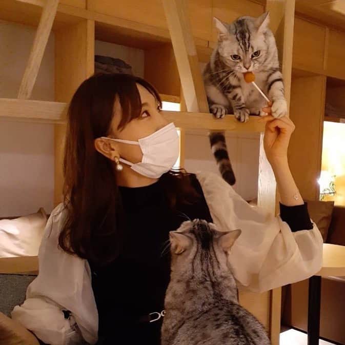 石原美沙紀のインスタグラム：「癒されに☺️🐈🐈🐈 お母さんと一緒に🥰☺️  #instagood #instalike #instafashion #japanesegirl #cute #自撮り #自撮り女子  #ガーリー  #アイドル #地下アイドル #今日のコーデ #ファッション #selfie #followｍe #likeforlikes  #ピンクヘアー #ピンクブラウン #ヘアアレンジ #ヘアスタイル #サロンモデル #salon #salonmodel #猫　#猫カフェ　#猫カフェモカ」