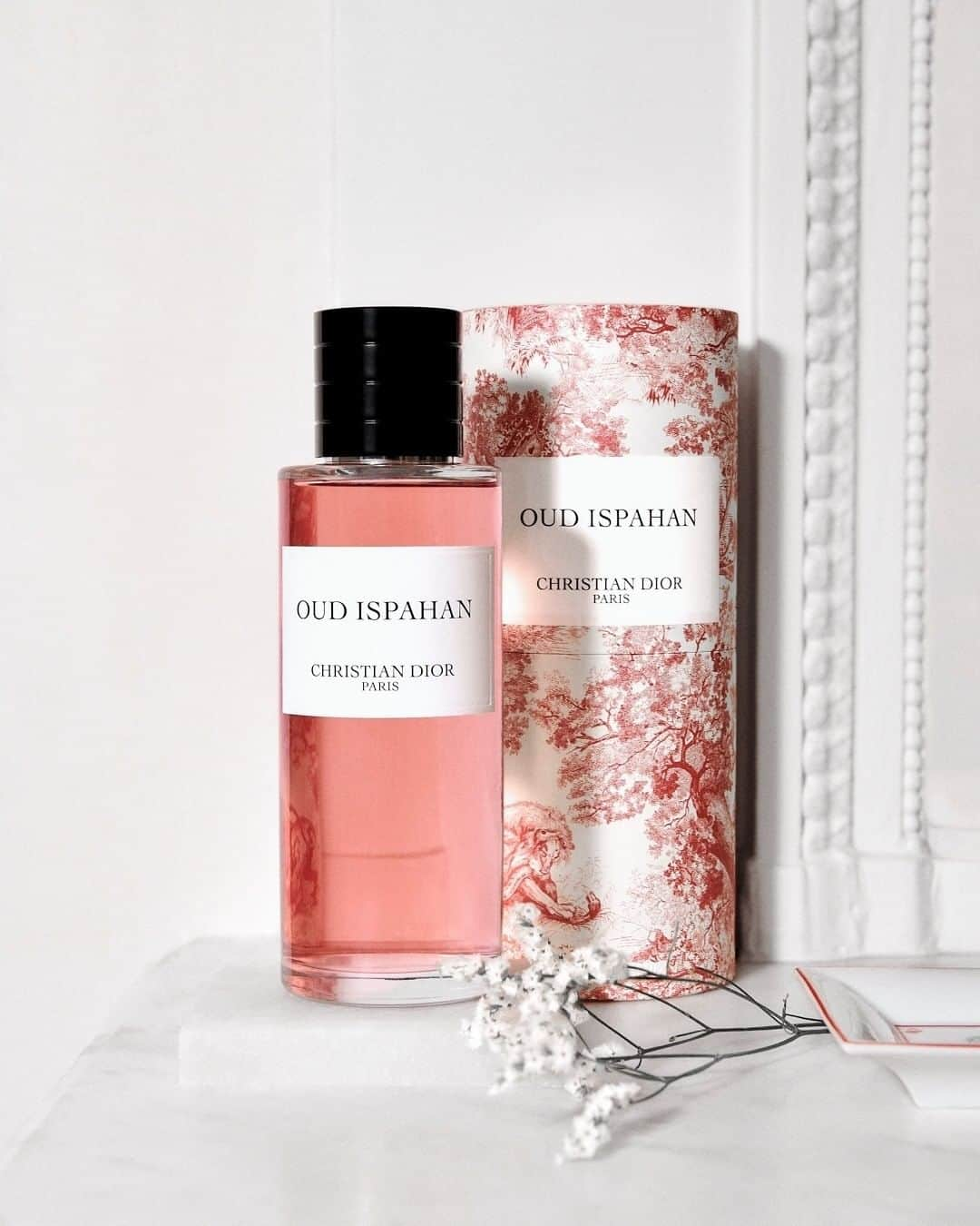 クリスチャンディオールさんのインスタグラム写真 - (クリスチャンディオールInstagram)「MAISON CHRISTIAN DIOR TOILE DE JOUY  Oud Ispahan; an olfactory journey sublimated by Toile de Jouy, a Dior couture-inspired print. Discover the limited edition, link in bio. • #MaisonChristianDior #DiorParfums @diorparfums」2月3日 2時00分 - dior