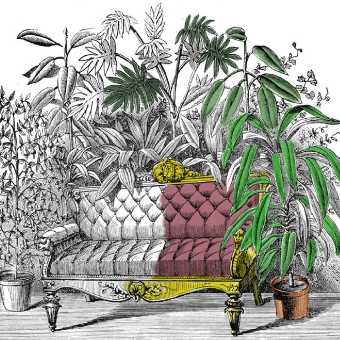 ニューヨーク植物園のインスタグラム：「This week we're taking a peek into the archives of the LuEsther T. Mertz Library for #ColorOurCollections, a yearly event where we invite kids and adults alike to add their personal touches to our botanical illustrations. . Hit the link in the bio to find the past four years' coloring books from NYBG, including illustrations of tropical plants, flowers of all sorts, and even scenes like this one that you can print out at home and liven up with crayons, markers, or colored pencils. You can also find more information on the many other institutions taking part in the event. And feel free to share your creations on social by including the #ColorOurCollections hashtag! . Williams, Henry T. 'Window gardening : devoted specially to the culture of flowers and ornamental plants for indoor use and parlor decoration.' H.T. Williams, New York, 1872 . #plantlove #nybgathome #museumfromhome #culturefromhome」