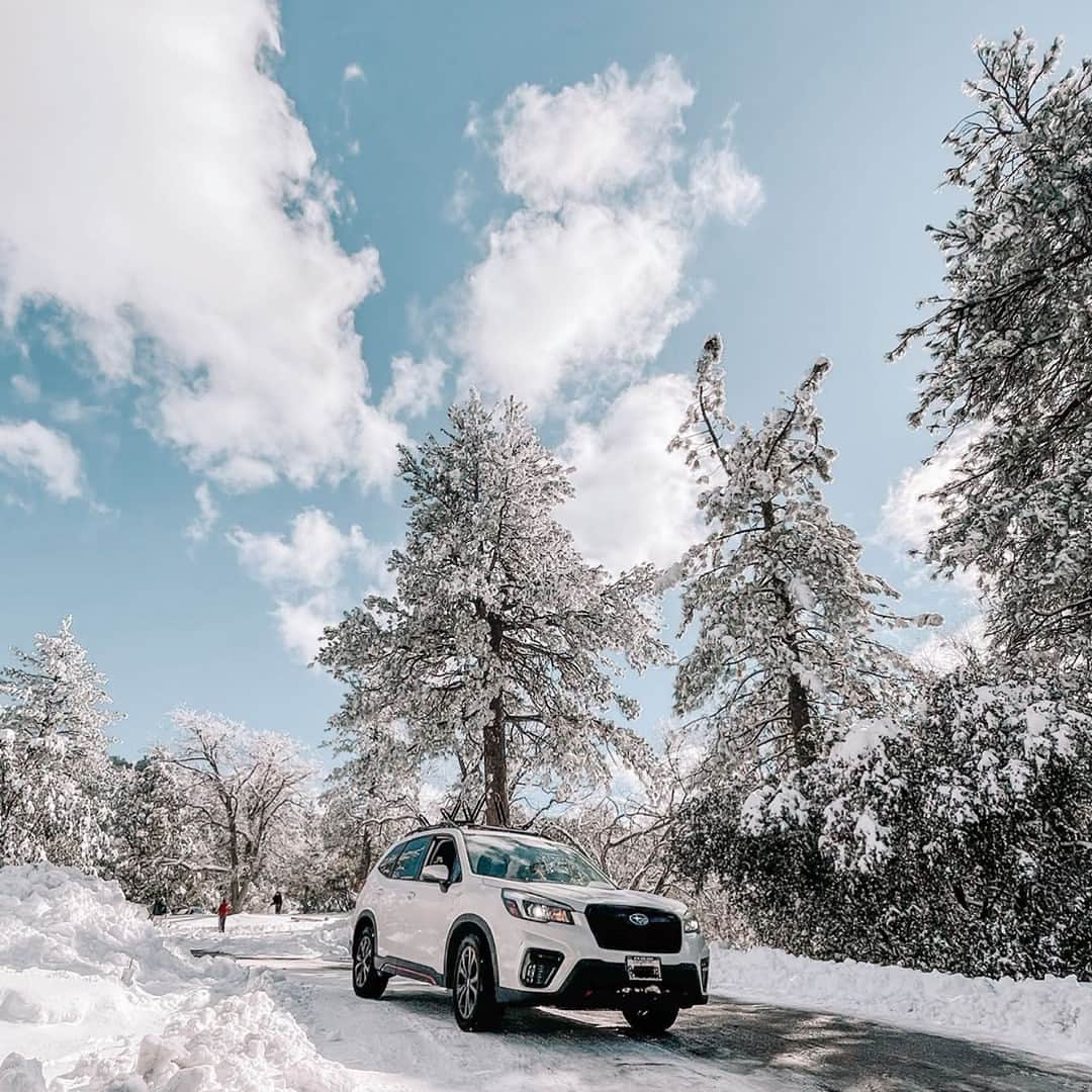 Subaru of Americaさんのインスタグラム写真 - (Subaru of AmericaInstagram)「"Subarus are meant for the snow. ❄️" Let's see those #SubaruAndSnow shots!   (🗣️📸: @chelonv)」2月3日 3時25分 - subaru_usa