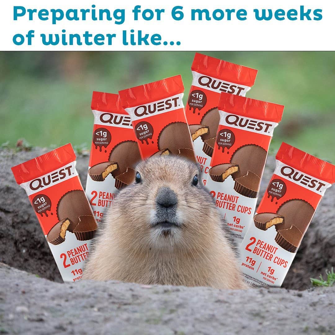 questnutritionさんのインスタグラム写真 - (questnutritionInstagram)「Excuse me as I crawl back into my burrow for six more weeks. 😎 #groundhogday #PunxsutawneyPhilSawHisShadow」2月3日 3時19分 - questnutrition