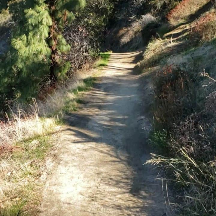 ウィリー・ガーソンのインスタグラム：「Today's hike....」