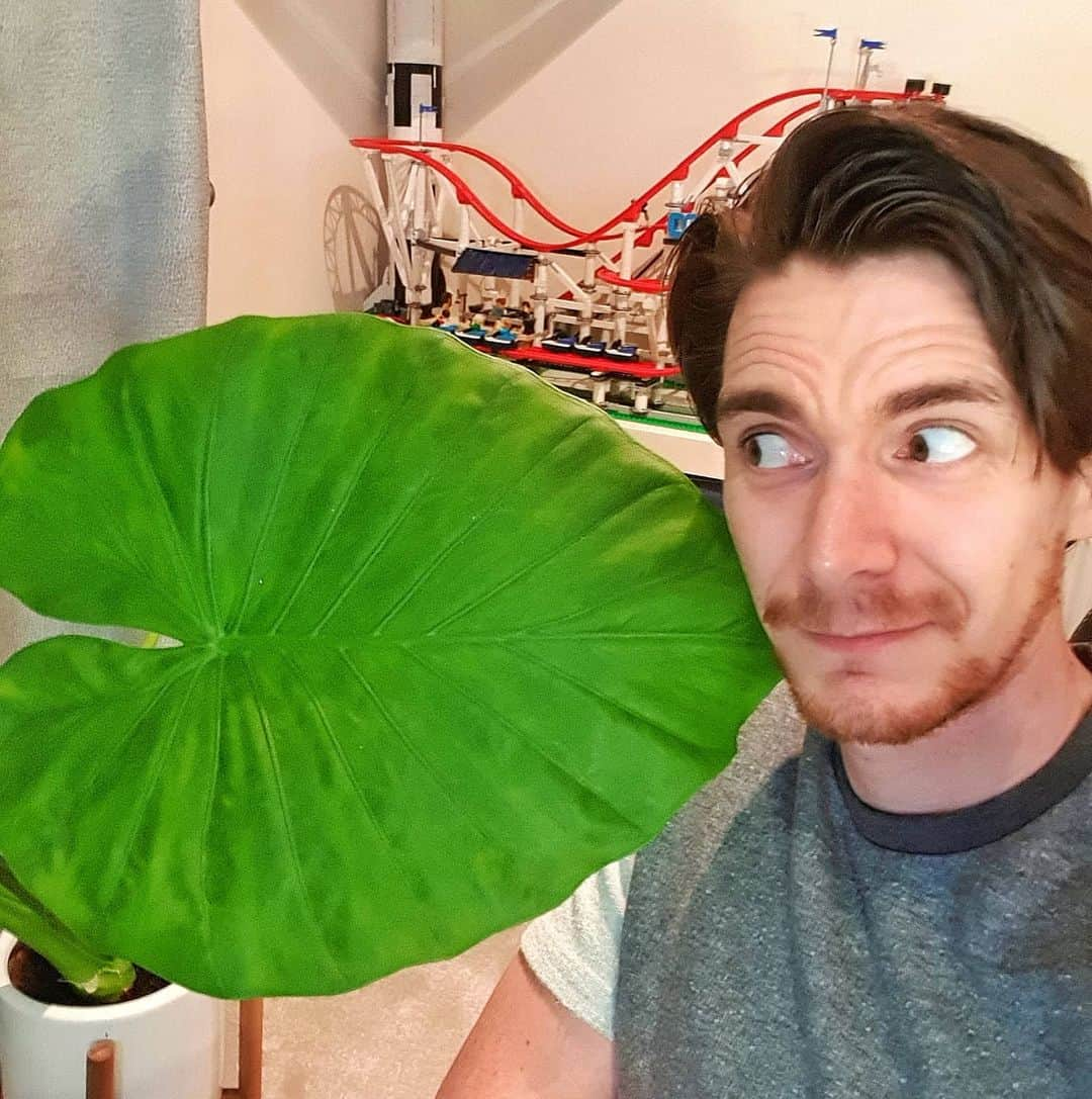 ジェームズ・フェルプスのインスタグラム：「"What did you get up to during lockdown?" "I managed to grow a house plant leaf bigger than my head..." #productive #littleshopofhorrors 🌱🤓🔒⬇️」