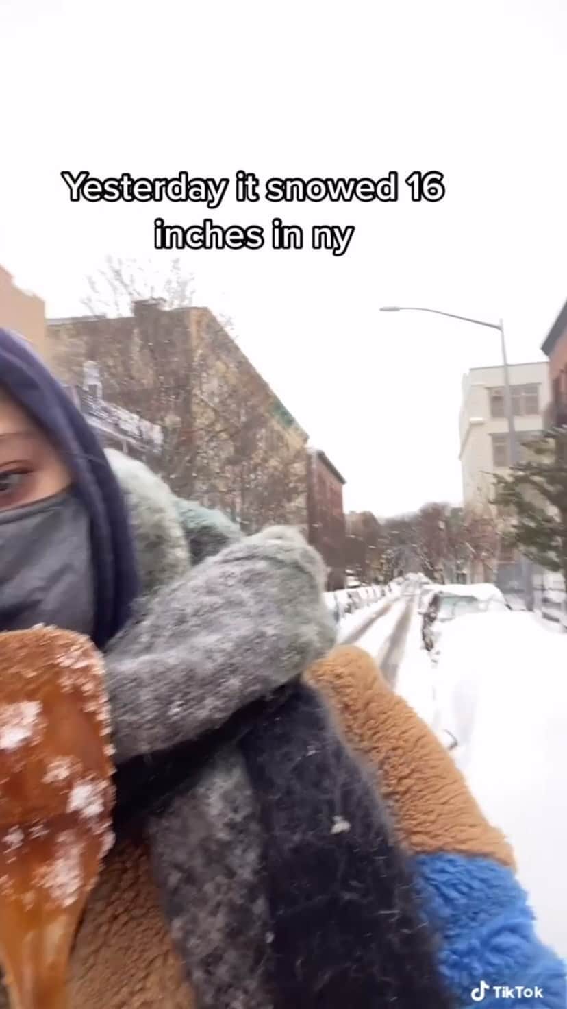 Monica Aksamitのインスタグラム：「I’m moving to where there’s palm trees #nyc #brooklyn #cold #snow #snowstorm #car #spatula」