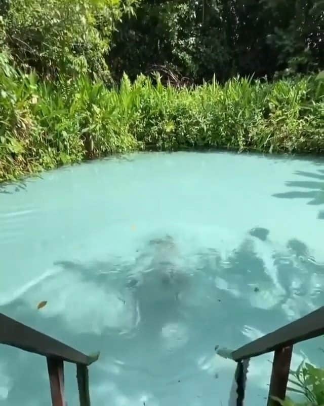 Discover Earthのインスタグラム