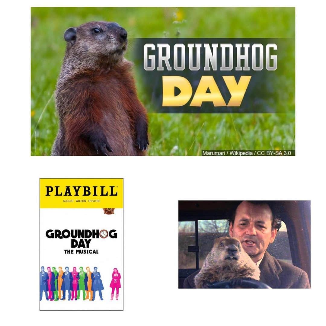 マーク・ハミルさんのインスタグラム写真 - (マーク・ハミルInstagram)「Happy Groundhog Day?! It's a great Bill Murray movie & great fun as a Broadway musical, but as a holiday? Not so much. How can anyone get excited celebrating a nocturnal rodent predicting the weather? Nearly the worst holiday... EVER! (I'm looking at YOU, Arbor Day...)」2月3日 10時59分 - markhamill