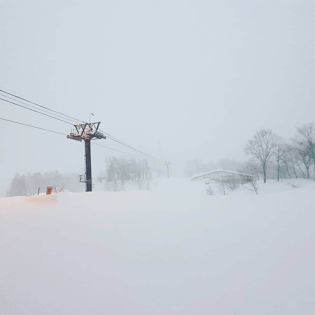 栂池高原スキー場さんのインスタグラム写真 - (栂池高原スキー場Instagram)「おはようございます！栂池高原スキー場朝イチレポートです！  気温　-3℃　 積雪　300cm 天候　雪　 風速　3m/s  今日は昨晩からの雪でスネ辺りまでのパウダーが楽しめそうです！ 今も降り続けてますのでもっと良くなるかも！？ 是非お越しくださいませ♪」2月3日 7時08分 - tsugaike_kogen