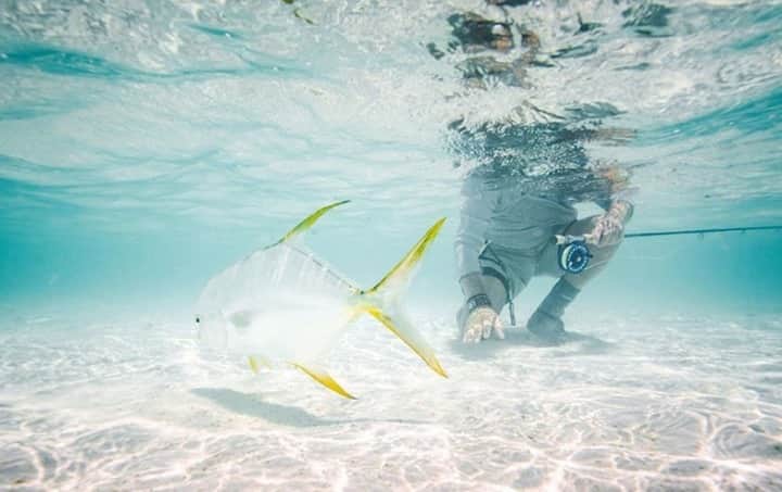 Costa Sunglassesのインスタグラム：「Permit whisperer on the flats. 📷: @keithroseinnesflyfishing #SeeWhatsOutThere」