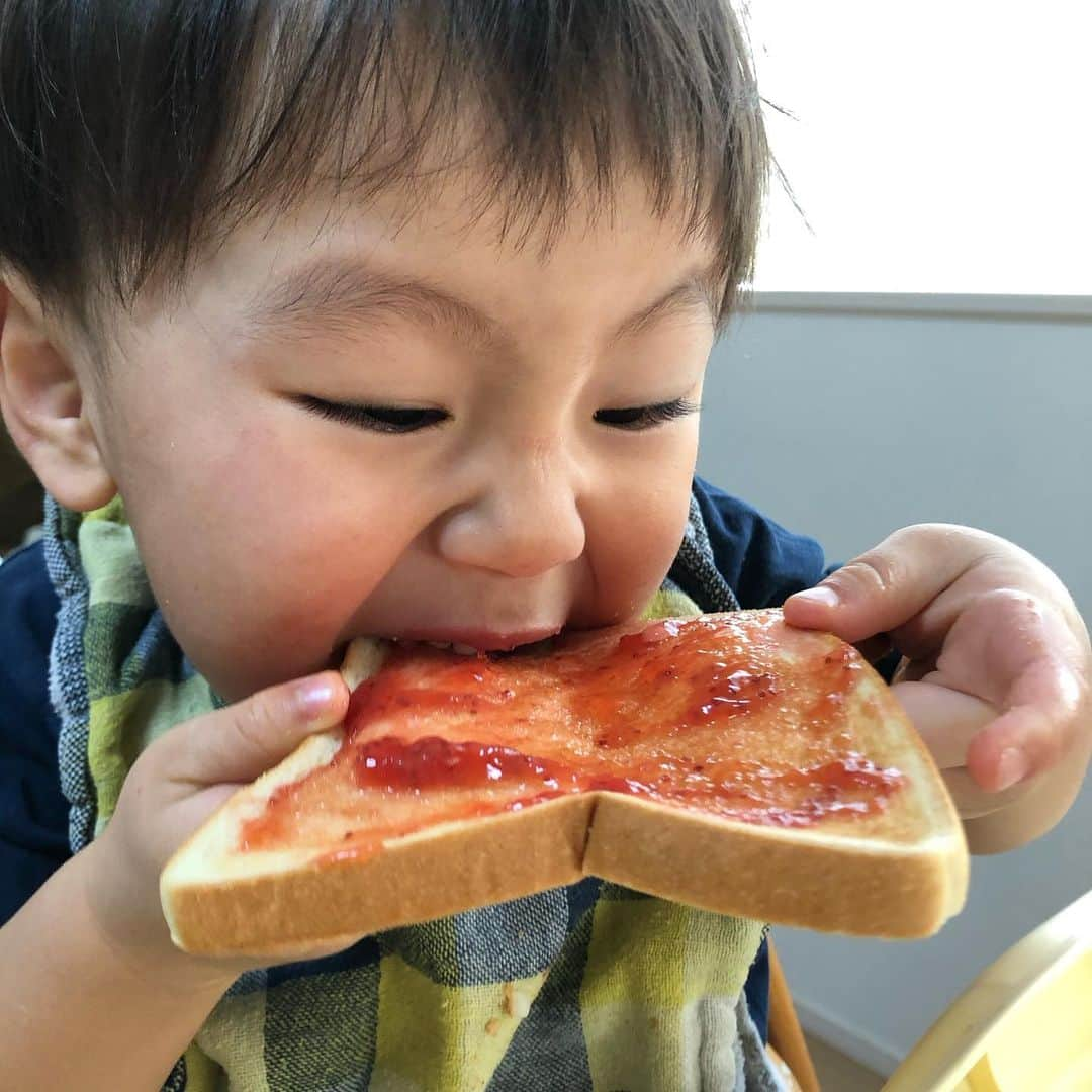 山本幹宗さんのインスタグラム写真 - (山本幹宗Instagram)「🍓🍞」2月3日 7時54分 - kanji23